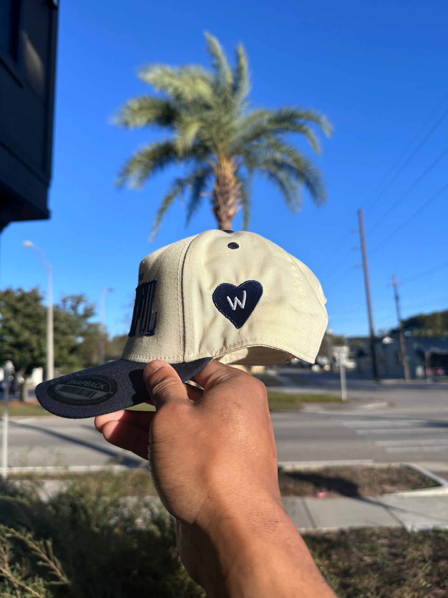 (V2) NAVY - LIFE IS TRULY WDFL CAP