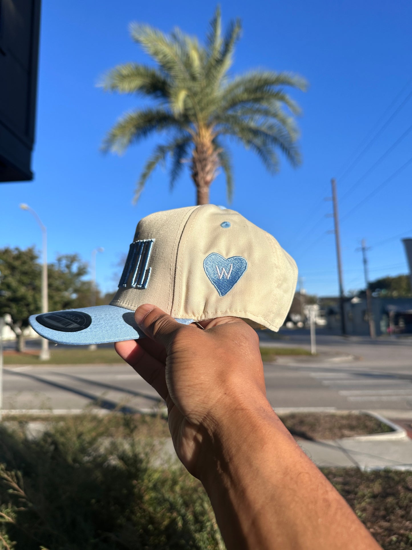 (V2) BABY BLUE - LIFE IS TRULY WDFL CAP