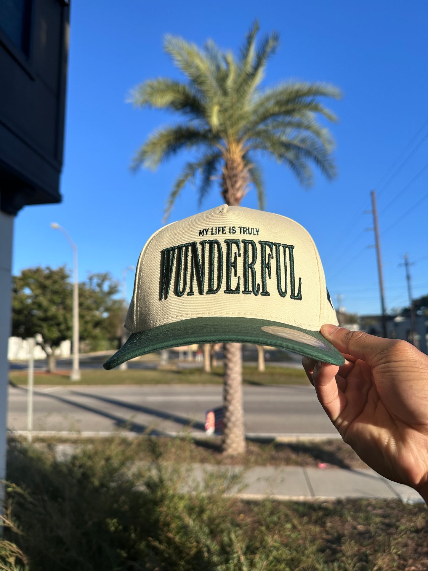 (V2) GREEN - LIFE IS TRULY WDFL CAP