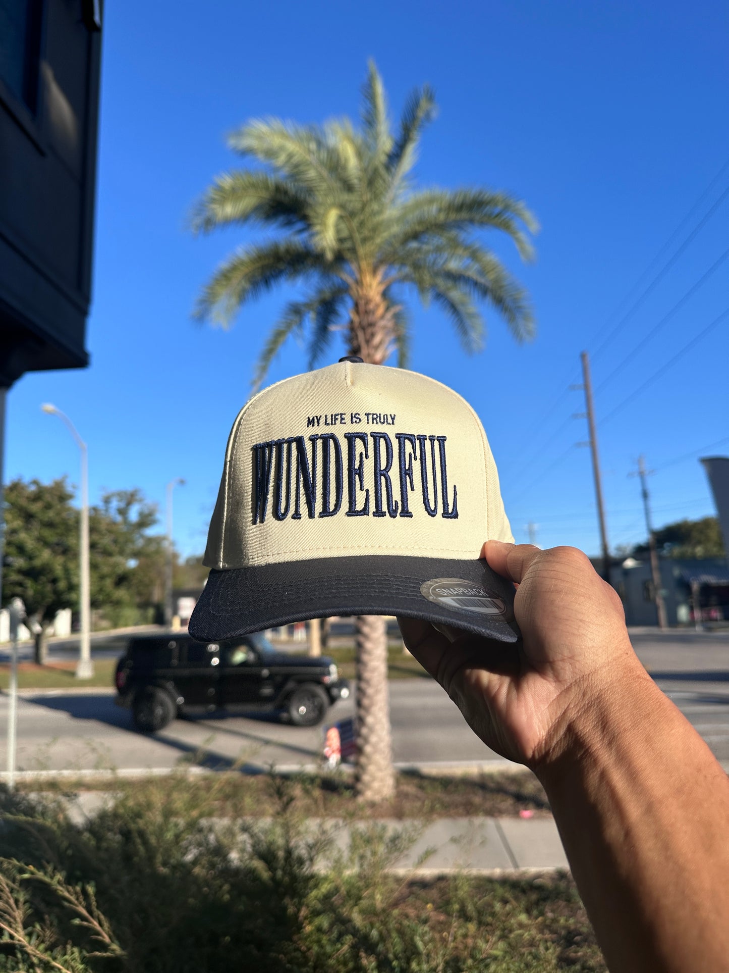 (V2) NAVY - LIFE IS TRULY WDFL CAP