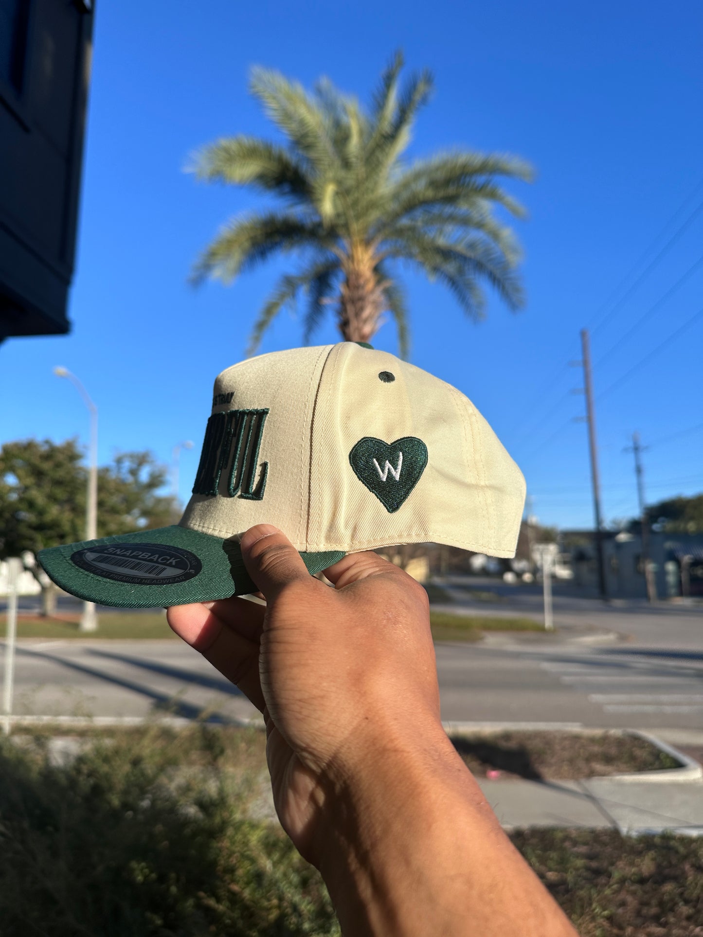 (V2) GREEN - LIFE IS TRULY WDFL CAP