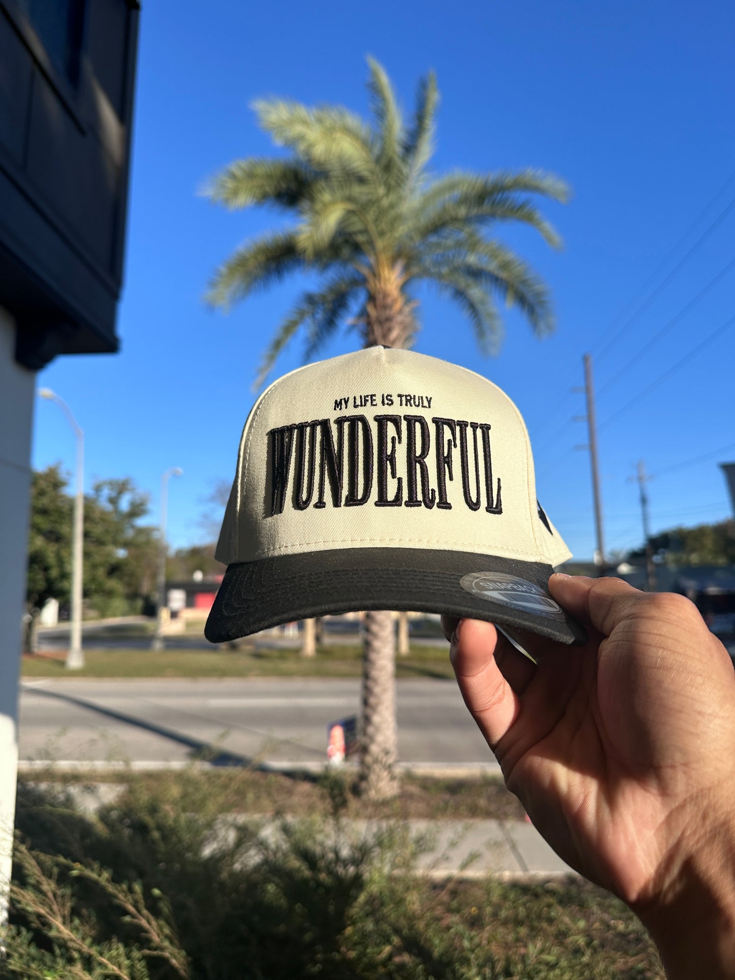 (V2) BLACK - LIFE IS TRULY WDFL CAP