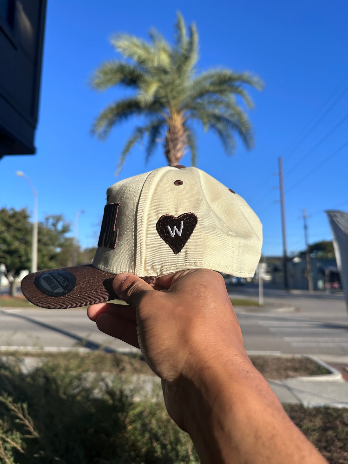(V2) BROWN - LIFE IS TRULY WDFL CAP