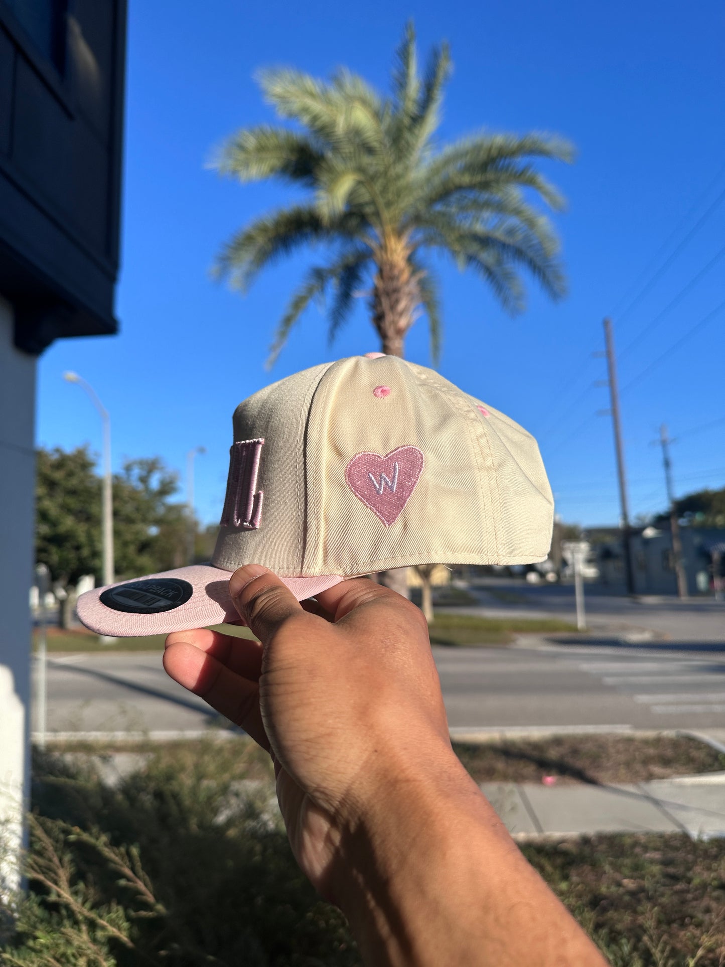 (V2) PINK - LIFE IS TRULY WDFL CAP