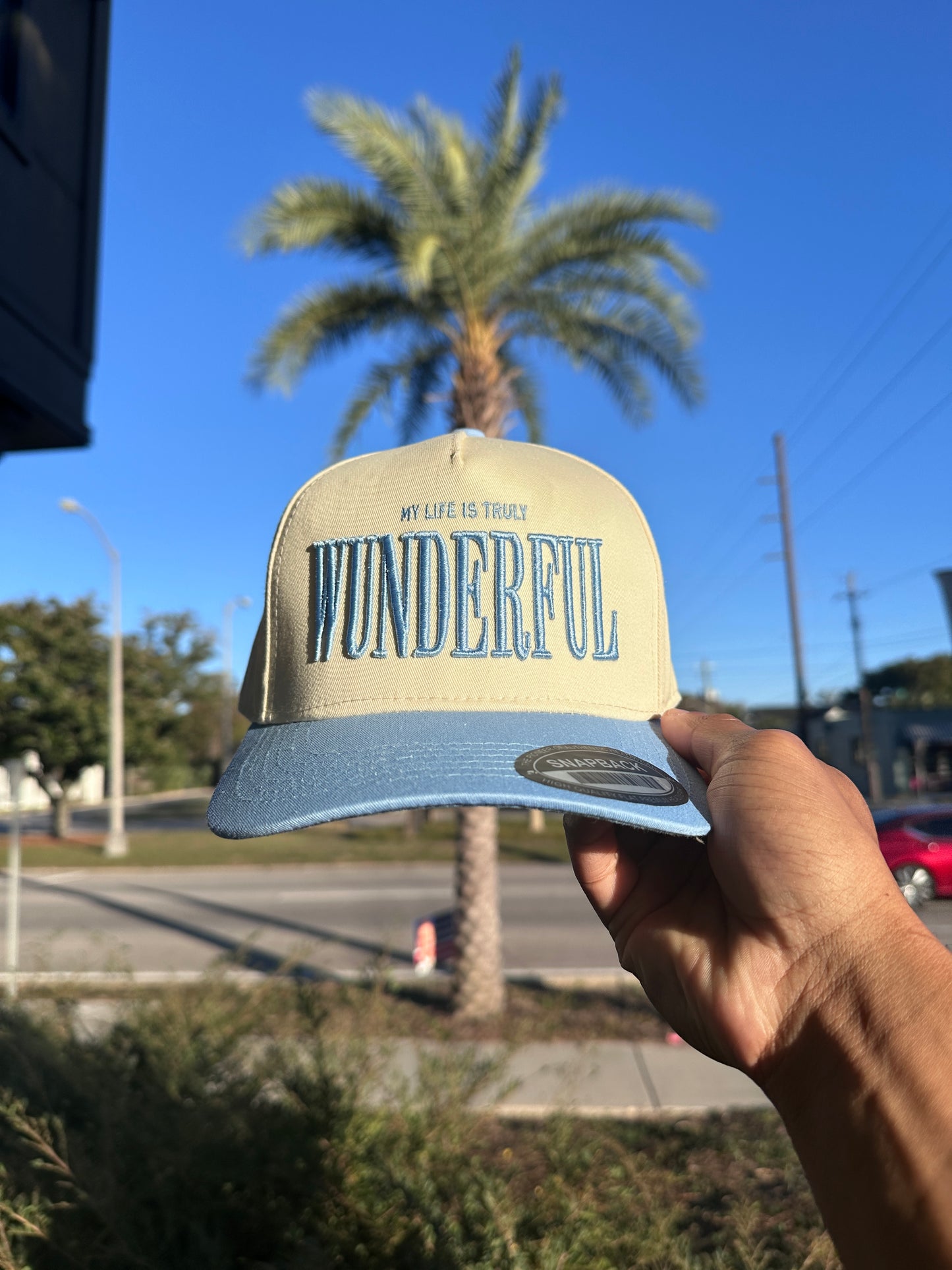 (V2) BABY BLUE - LIFE IS TRULY WDFL CAP