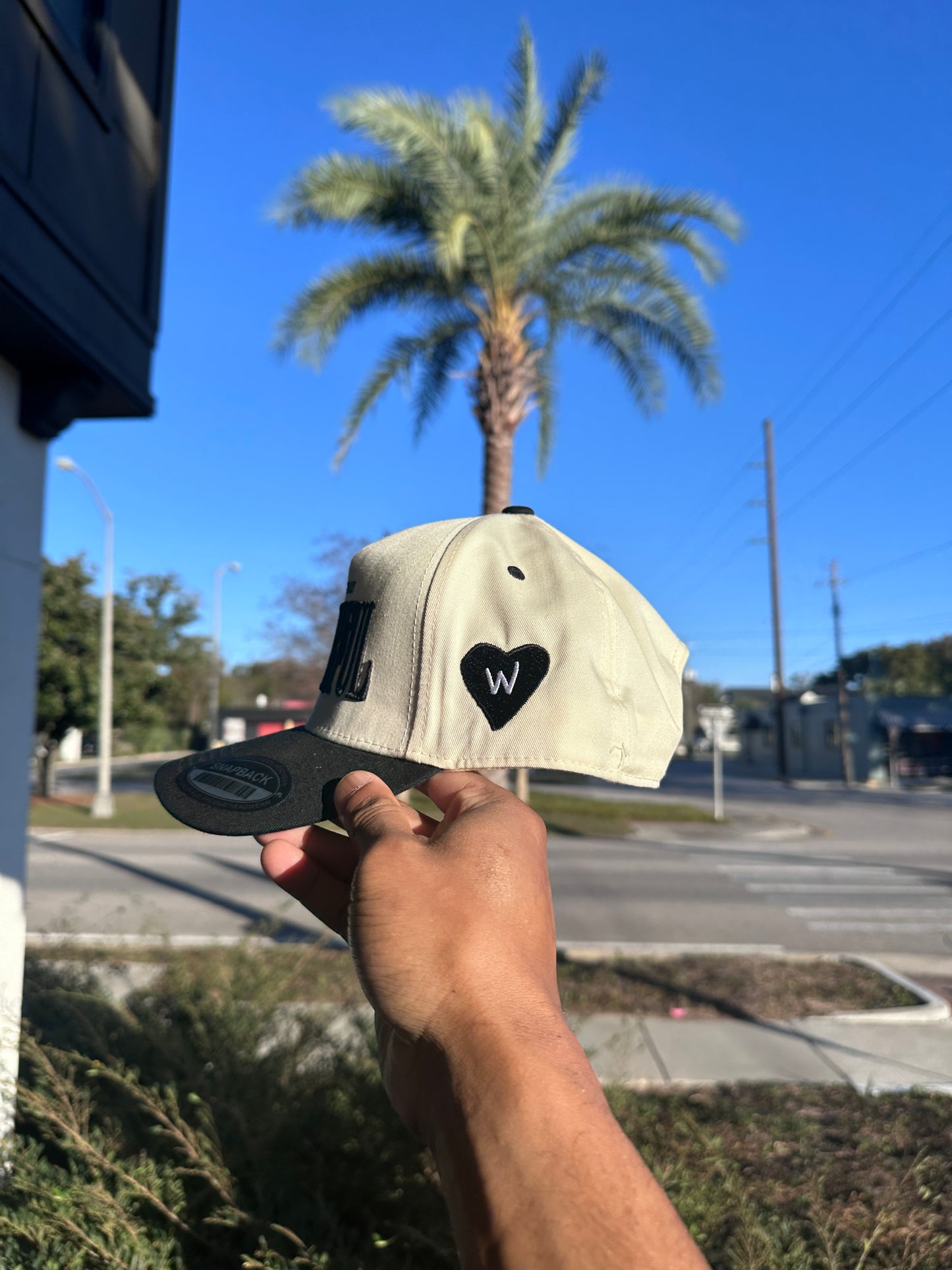 (V2) BLACK - LIFE IS TRULY WDFL CAP