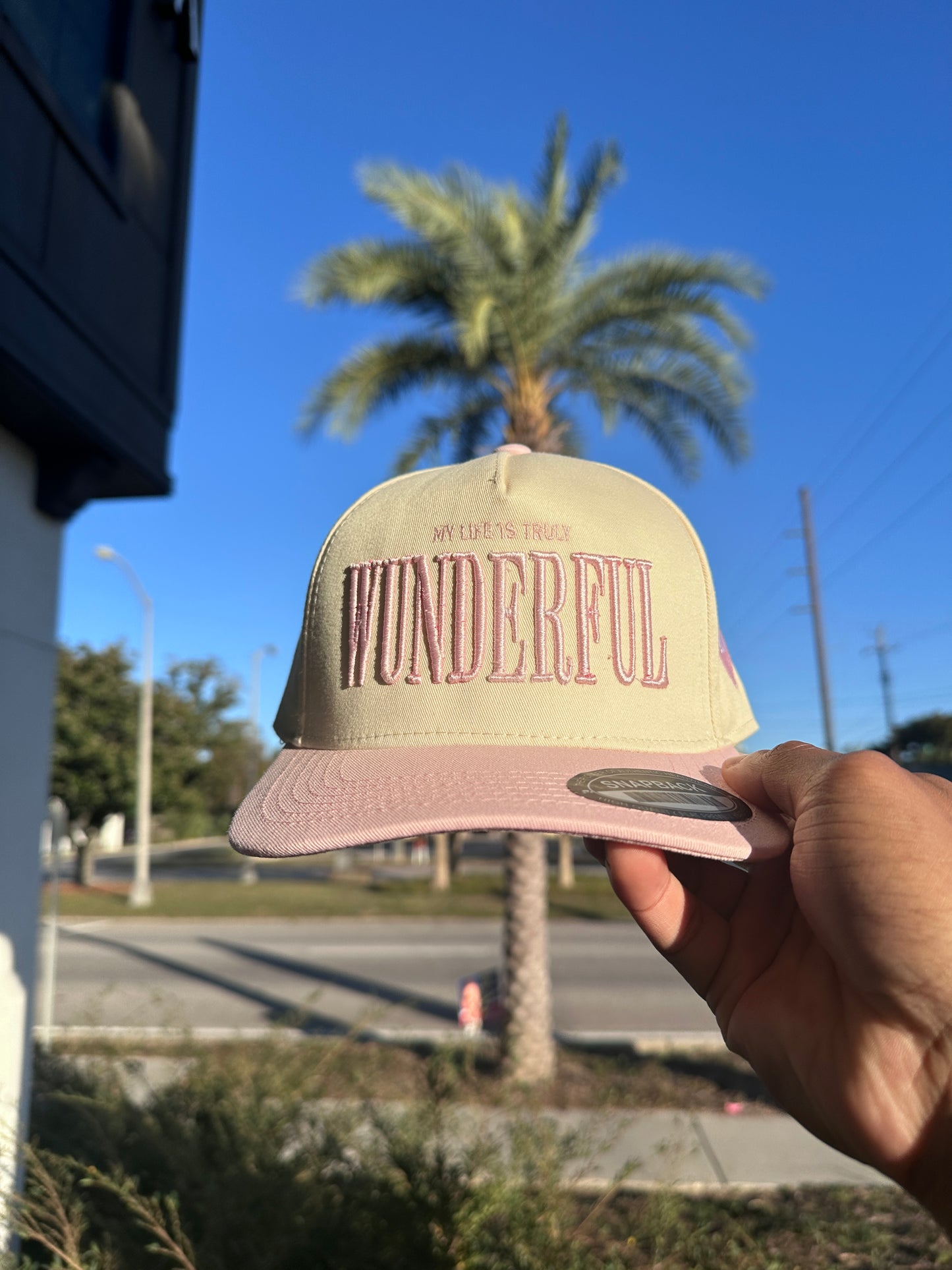 (V2) PINK - LIFE IS TRULY WDFL CAP